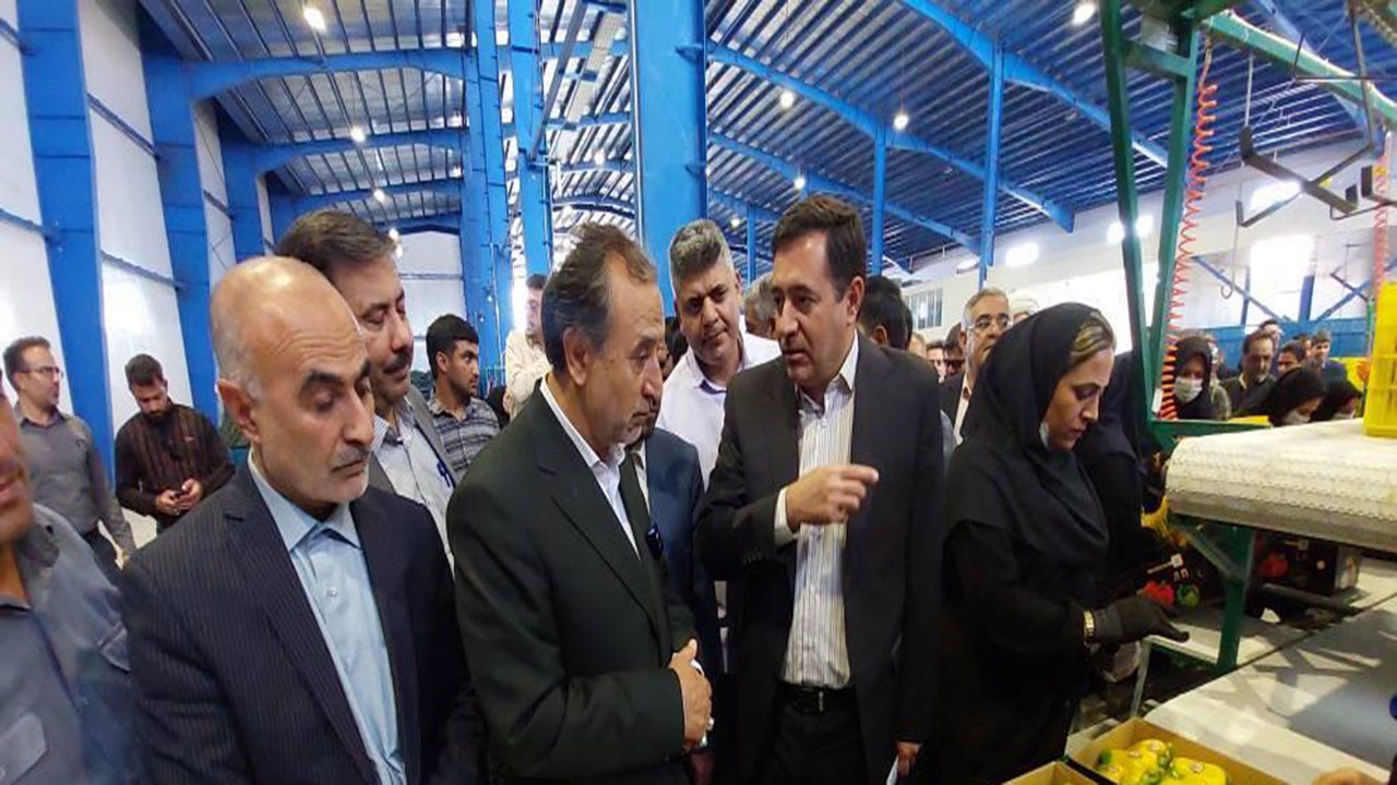 افتتاح بزرگترین مجموعه کشت گلخانه‌ای شرق فارس با حضور معاون رئیس جمهور