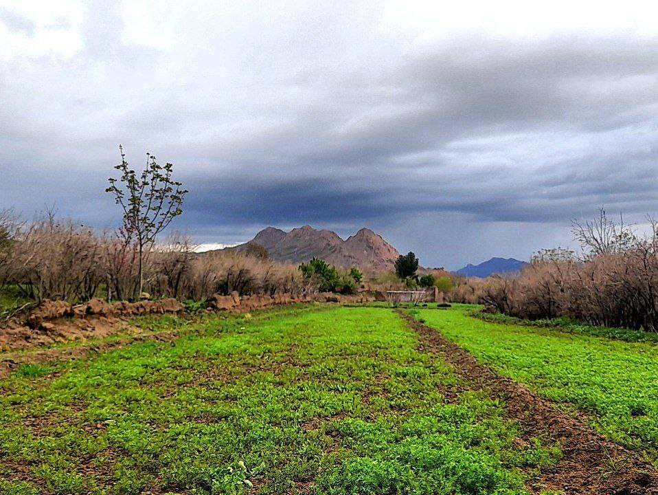 تصاویری از طبیعت بکر روستای کبودان بردسکن