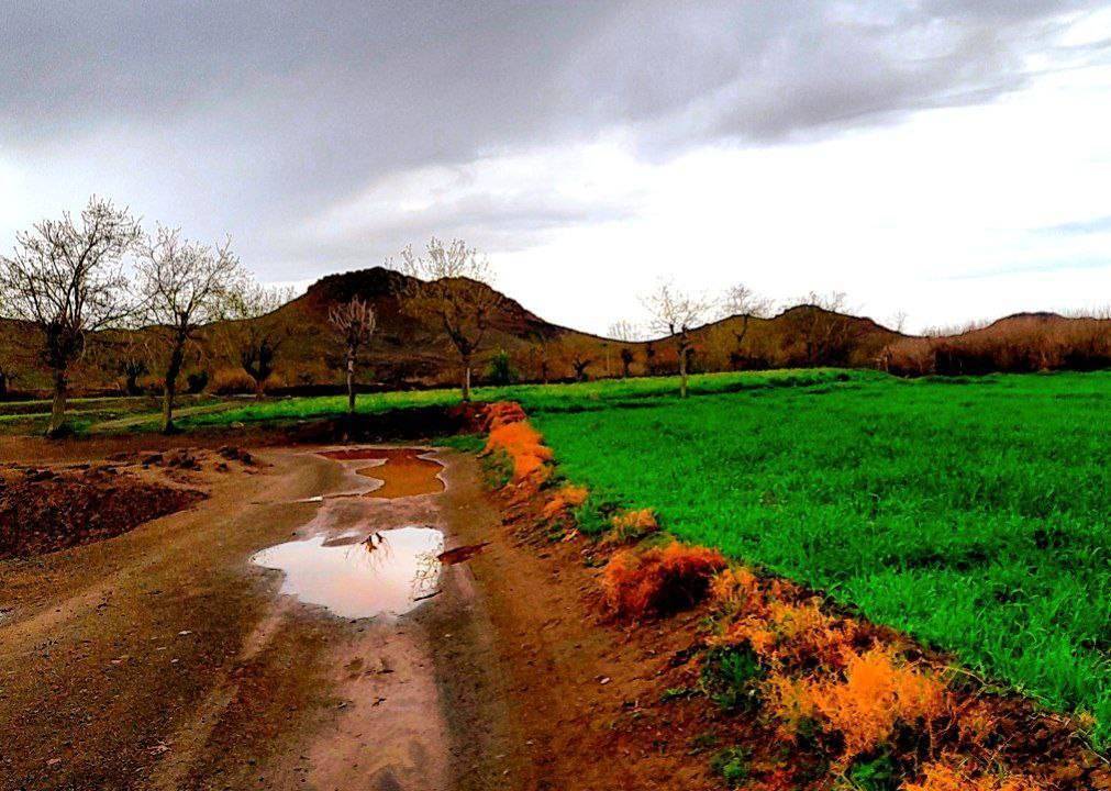 طبیعت بارانی