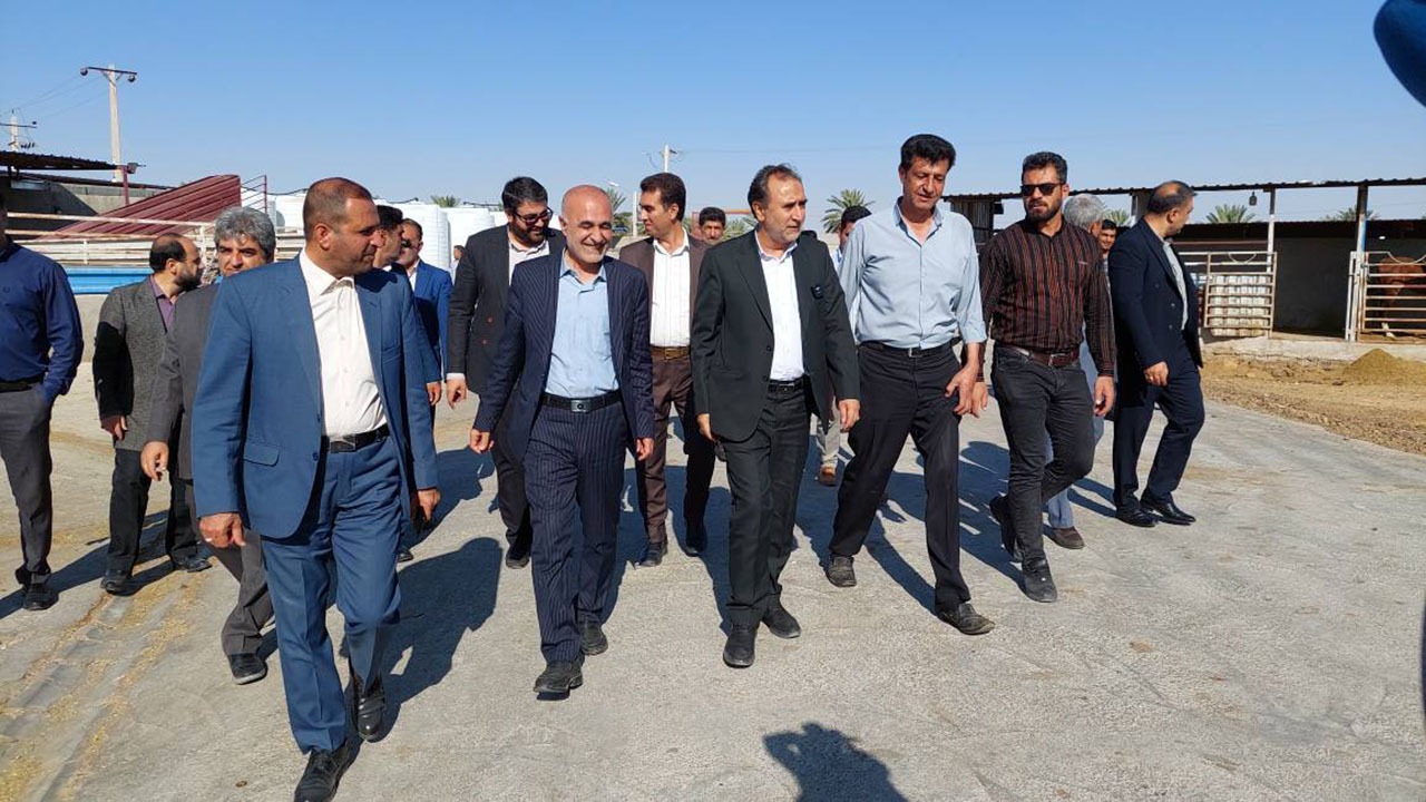 بزرگترین مجتمع صنعتی پرورش دام سبک جنوب کشور به بهره برداری رسید
