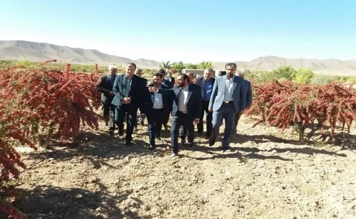 پیگیری جدی تسهیلات بارگاه و سردخانه زرشک در وزارتخانه پیگیری جدی تسهیلات بارگاه و سردخانه زرشک در وزارتخانه