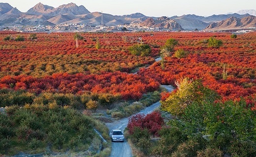 روستای افین روستای افین