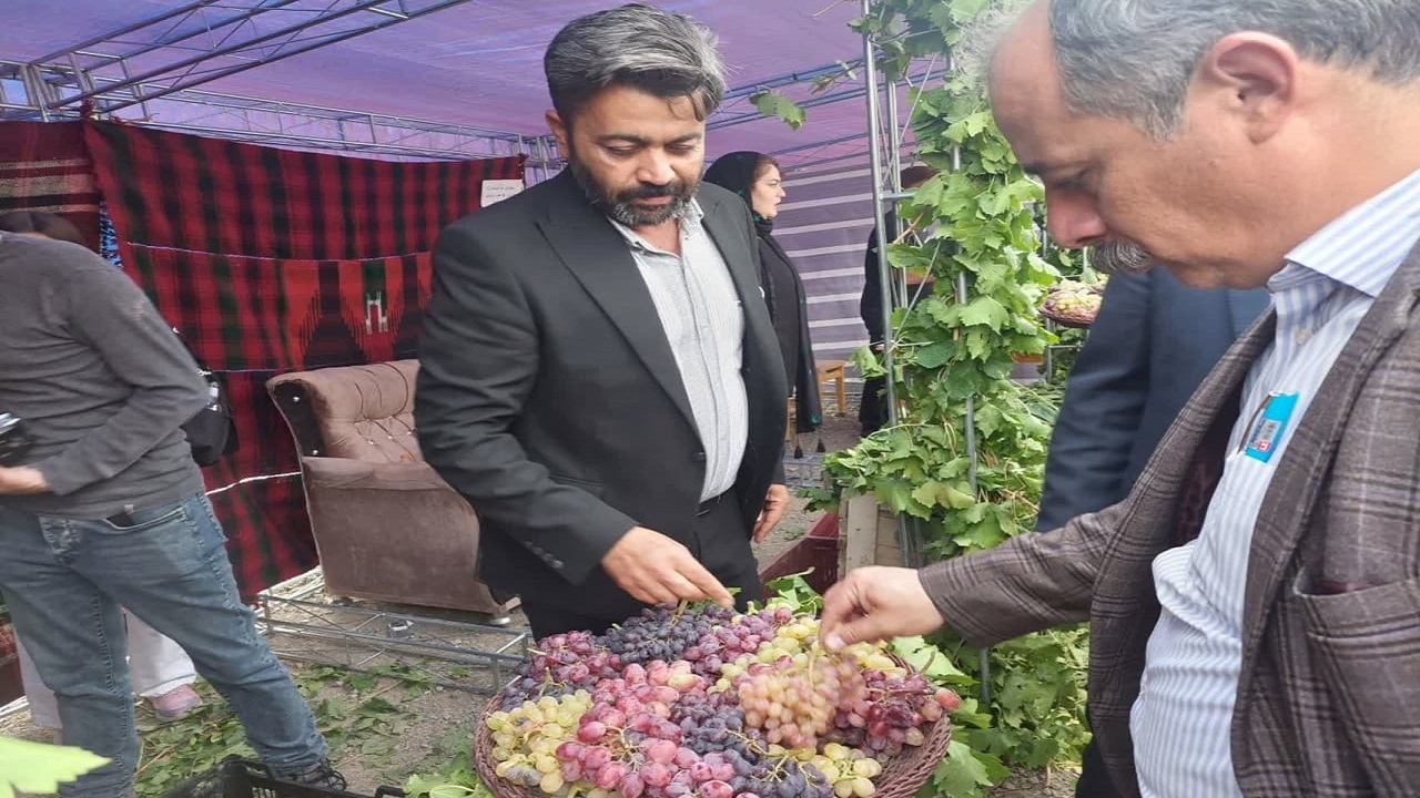 برگزاری جشنواره انگور کندوله و سیب سرتخت در روستای کندوله