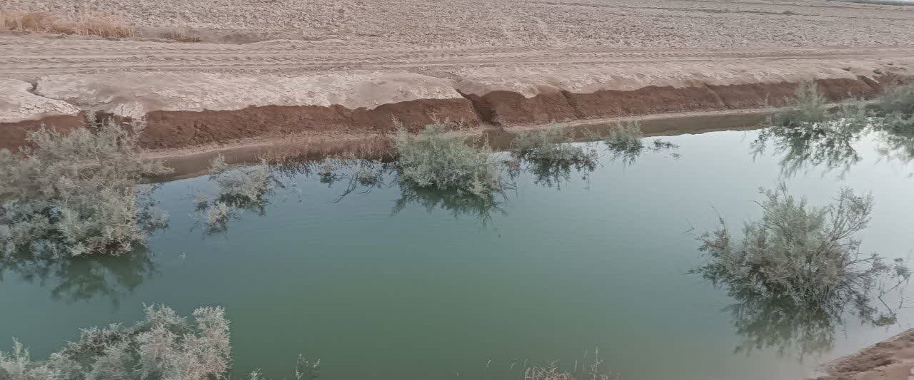 پس زدگی آب