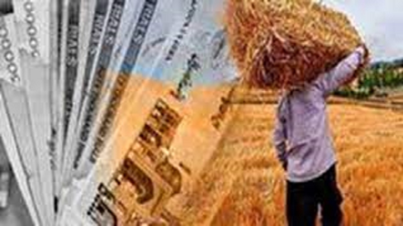 پرداخت مطالبات گندمکاران تا پایان مهر
