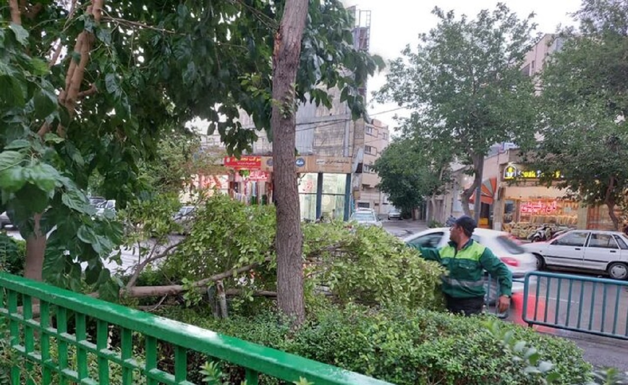 سقوط درخت روی خودرو در چهارباغ پایین اصفهان