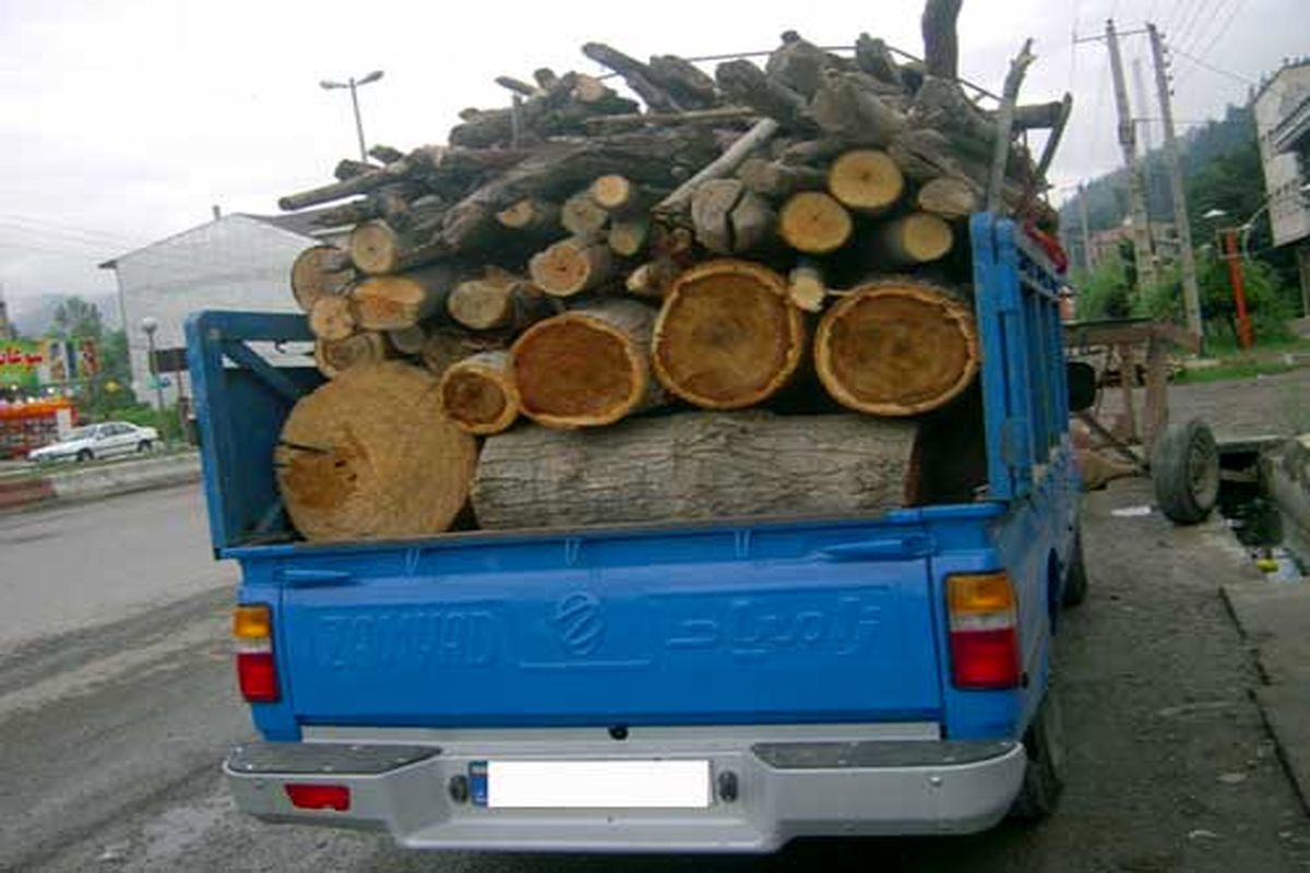 کشف ۲ تن چوب قاچاق در بیرجند