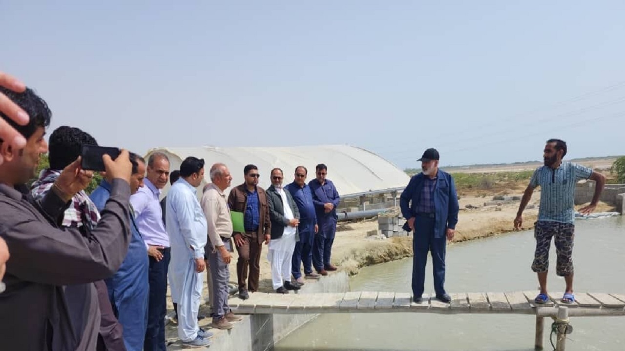 سرمایه‌گذاری ۱۸میلیارد تومانی بخش خصوصی در صنعت آبزی پروری سواحل مَکُران