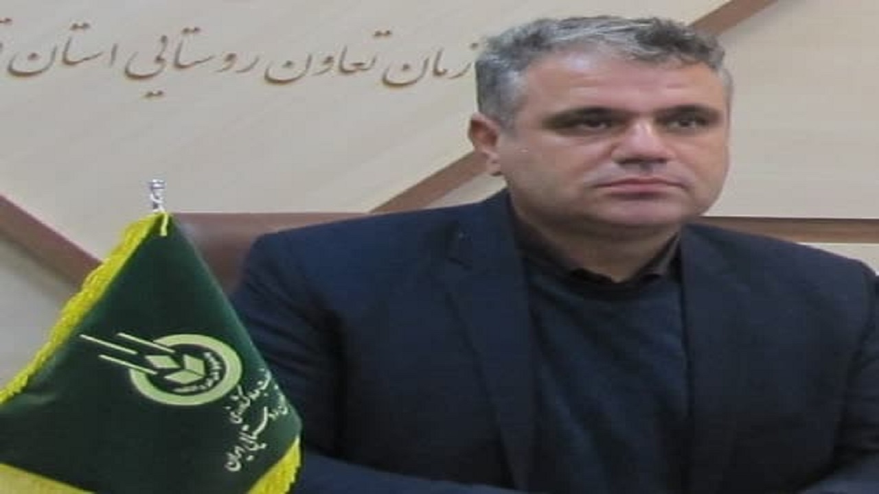 توزیع ۱۷ هزار و ۱۲۴ تن انواع نهاده‌های دامی در استان قزوین