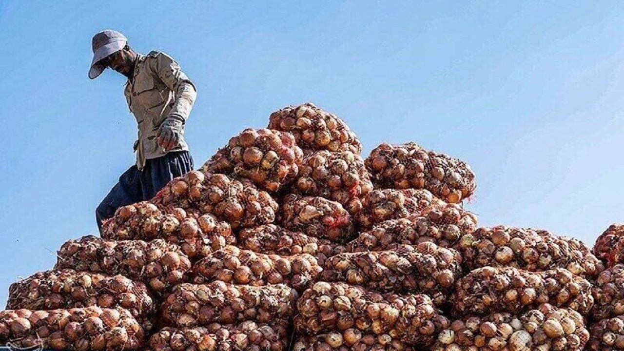 صادرات بیش از ۹۰۰ تن محصول از آبادان