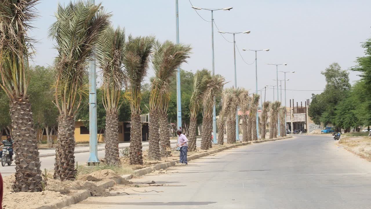 وزش باد شدید در شمال و غرب کرمان