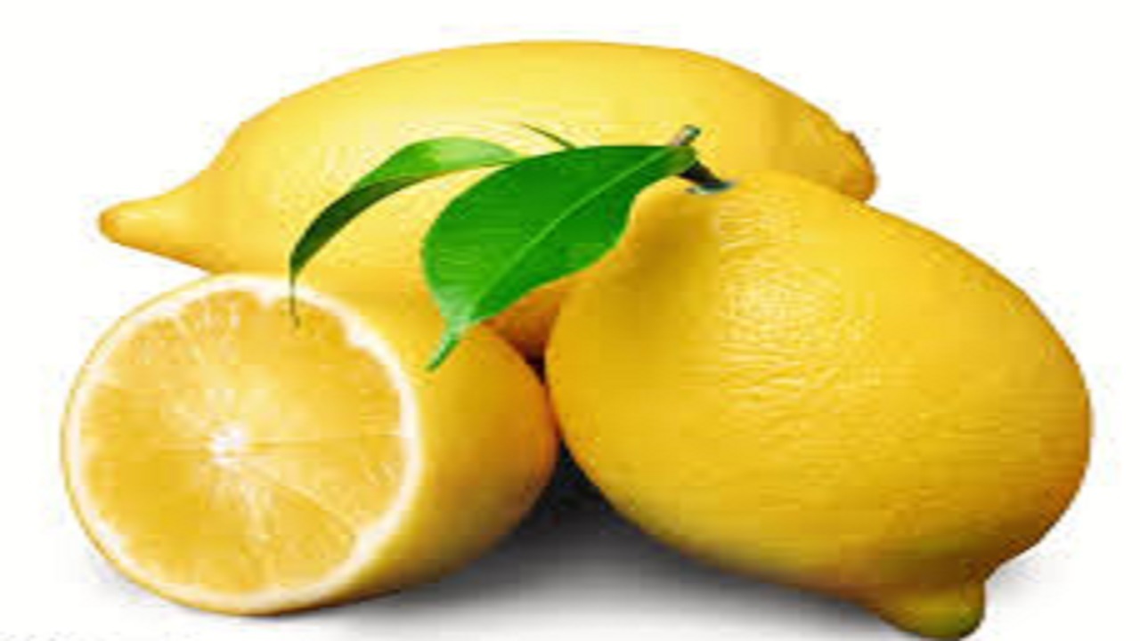 برگزاری نخستین جشنواره لیمو و مرکبات قصرشیرین