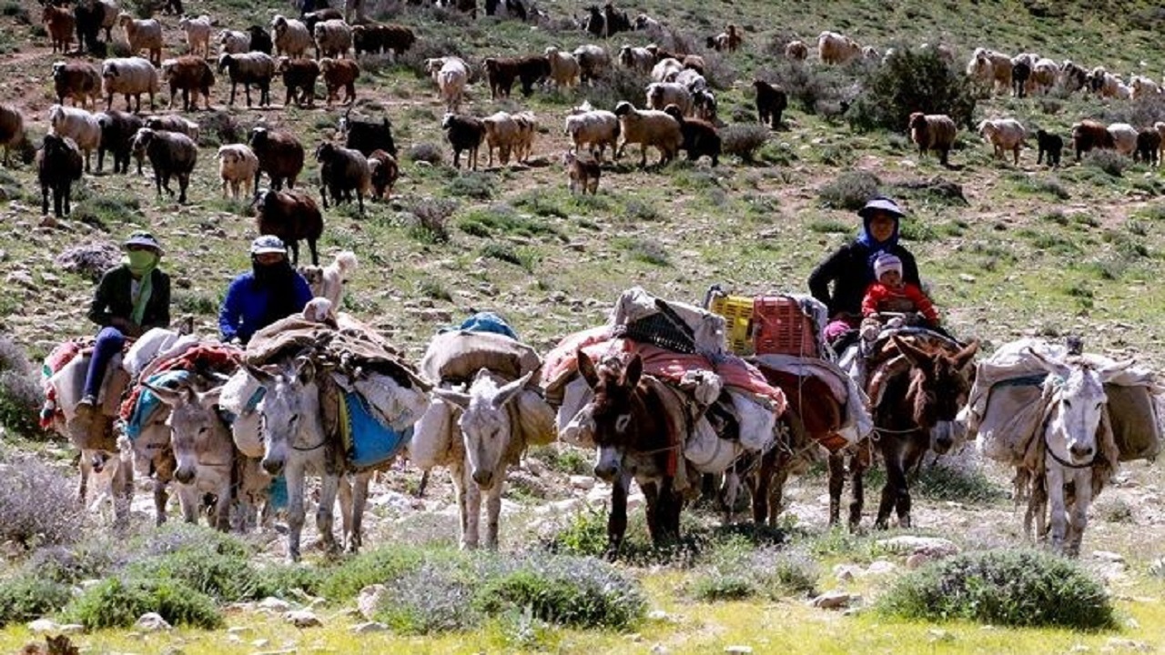 کوچ پاییزه عشایرخراسان شمالی به سوی مراوه تپه
