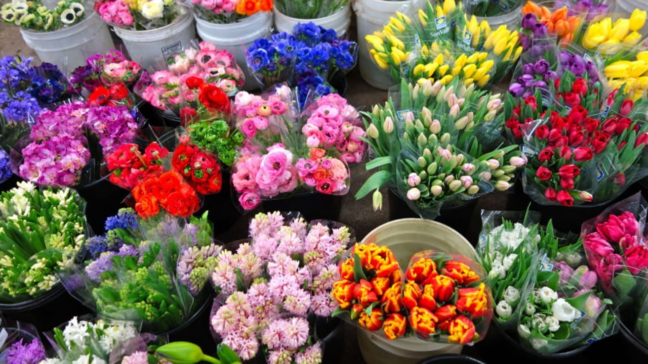 فروش گل در فضای مجازی غیرقانونی است