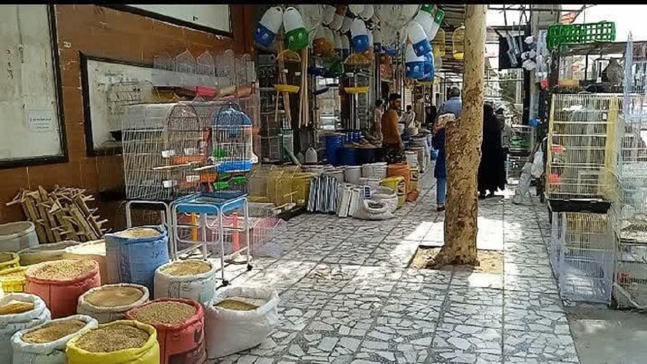پلمب و اعمال قانون در انتظار متخلفان سد معبر زاهدان