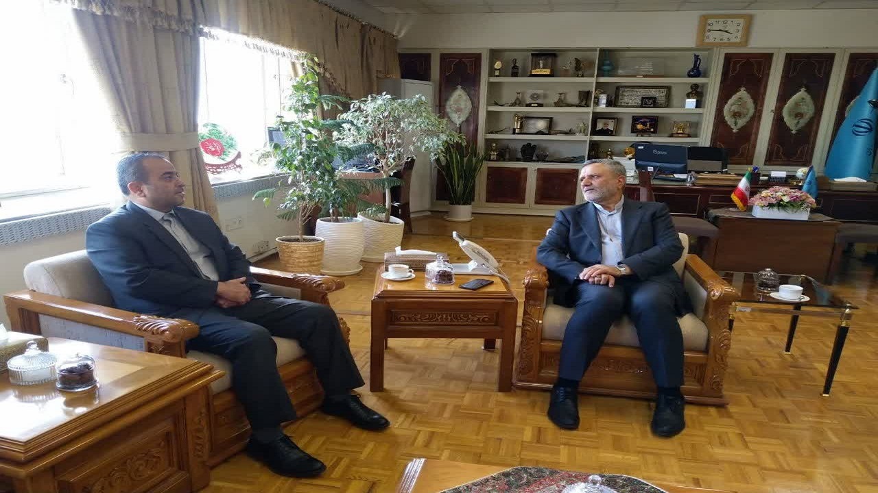 خراسان جنوبی، آماده همکاری با شستا