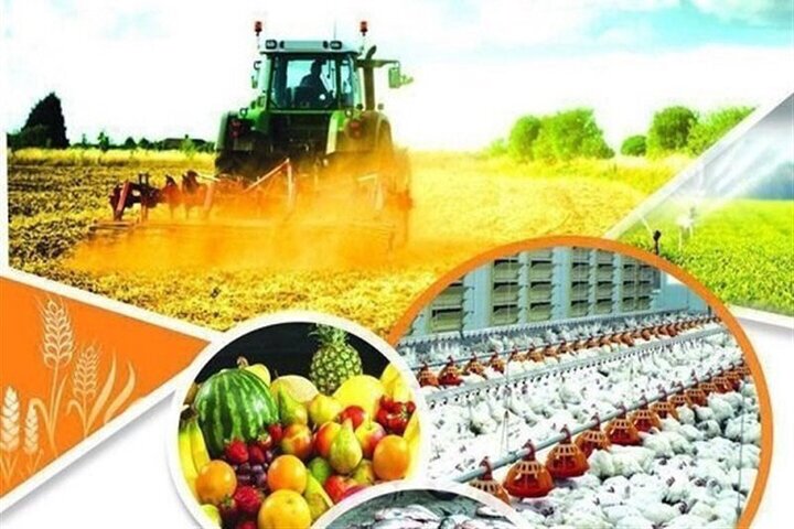 بازگشت ۷۴ واحد تولیدی استان همدان به چرخه تولید