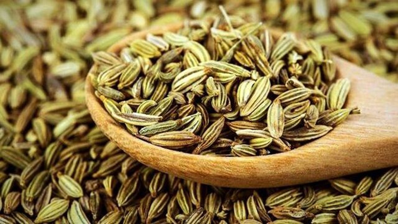کشت ۲۰ هزار هکتار زیره در خراسان شمالی برنامه‌ریزی شد