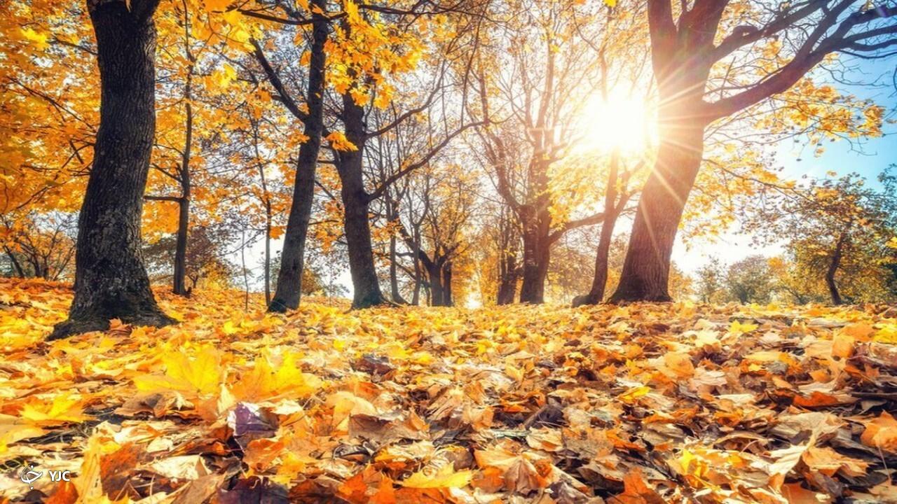 دمای هوای آذربایجان‌غربی گرم‌تر می‌شود