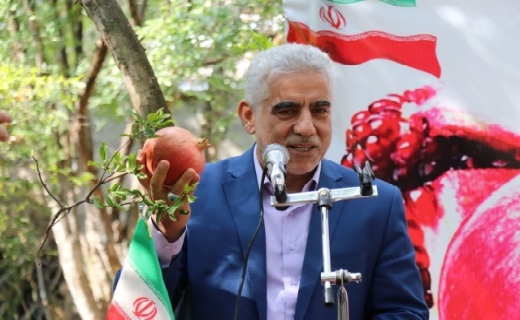 جشنواره شکرانه برداشت انار در روستای انبوه رودبار برگزار شد جشنواره شکرانه برداشت انار در روستای انبوه رودبار برگزار شد