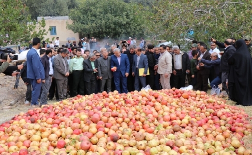 جشنواره شکرانه برداشت انار در روستای انبوه رودبار برگزار شد جشنواره شکرانه برداشت انار در روستای انبوه رودبار برگزار شد