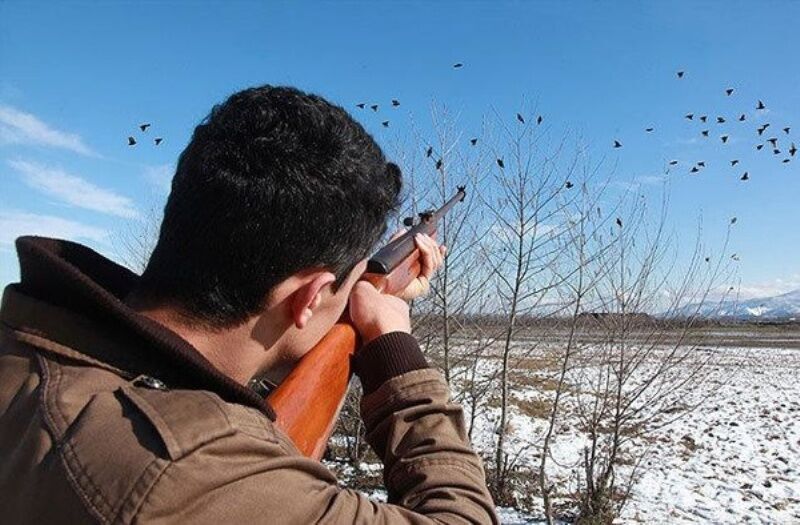 شکارچیان غیر مجاز در دام محیط بانان کرج