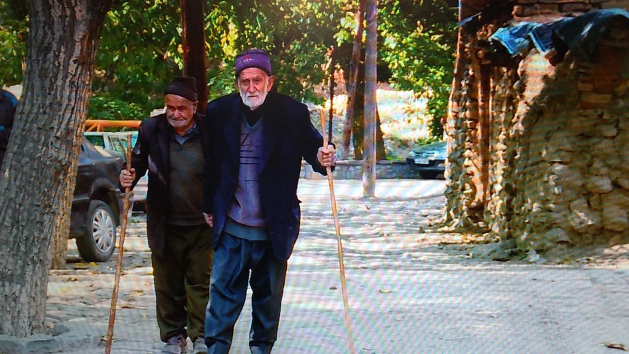 گردو چینی در روستای سنج