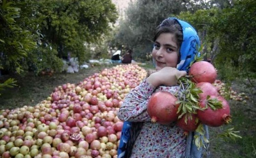 ثبت ۳ جشنواره گیلان در فهرست رویداد&zwnj;های گردشگری