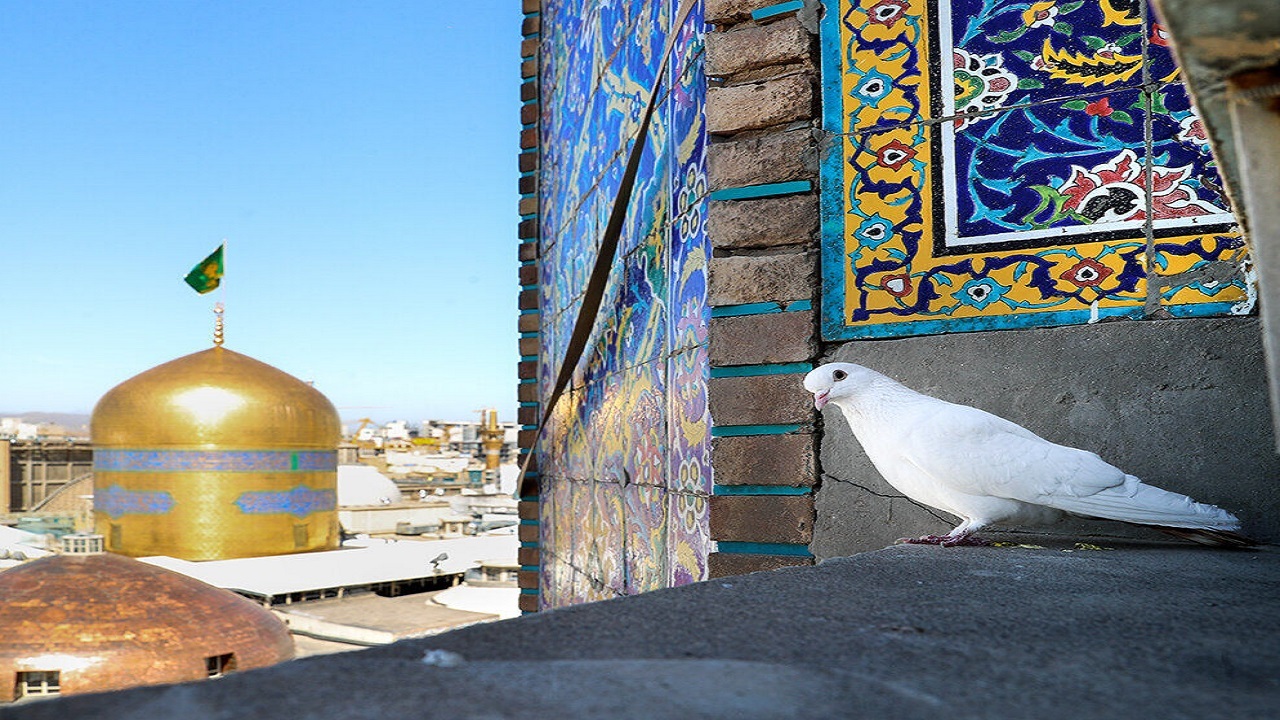 پرچم سبز رضوی بر گنبد حرم مطهر امام رضا(ع) برافراشته شد