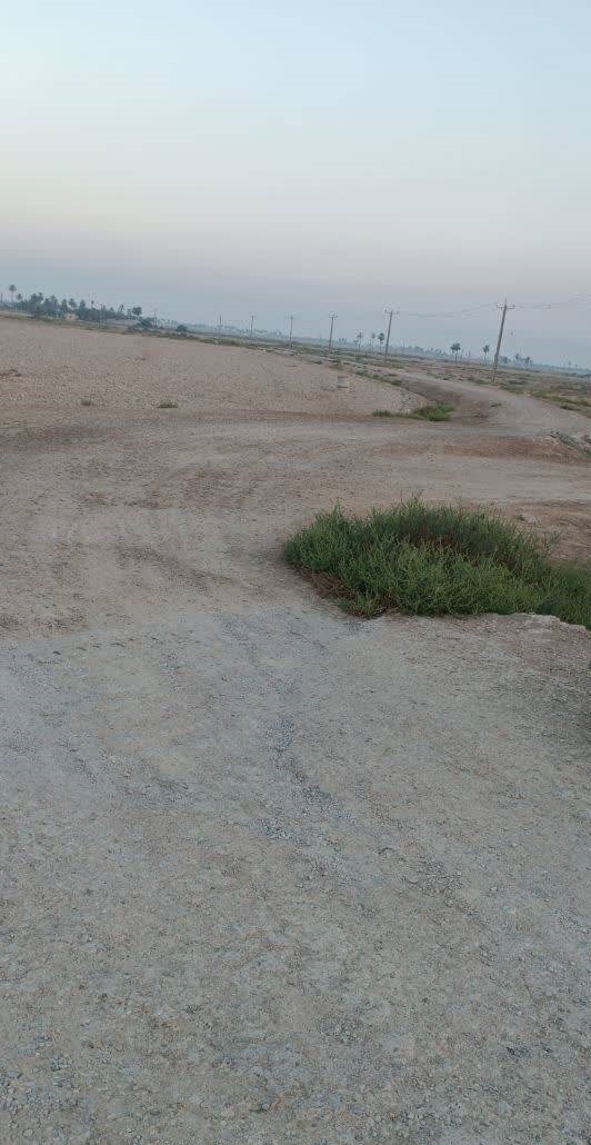 آسفالت سنگلاخی