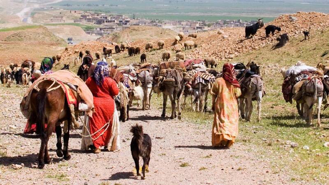 کوچ پاییزه عشایر از ۱۵ آبان ماه امسال آغاز می‌شود/ ورود دام به مراتع قشلاقی، قبل از پانزدهم آبان ممنوع است