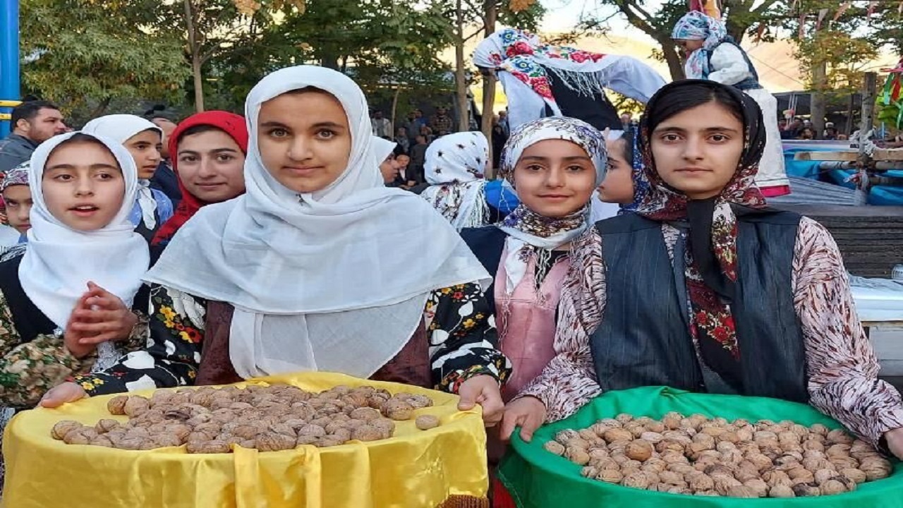 جنگل‌های سهرورد میزبان جشنواره گردو شد