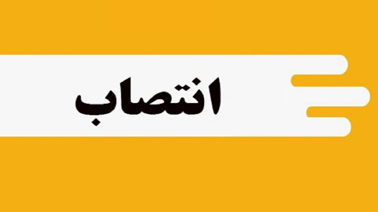رئیس کمیته آموزش و پژوهش ستاد انتخابات استان بوشهر معرفی شد