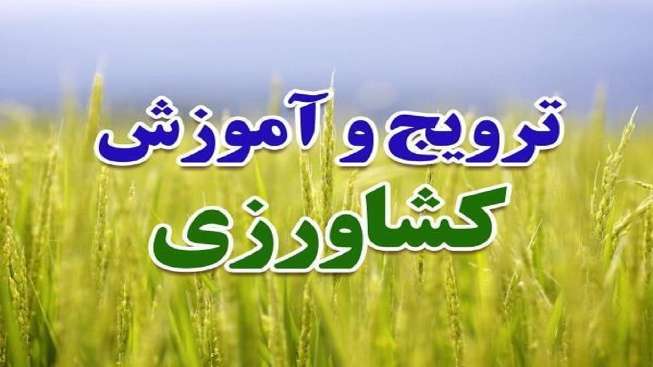 ایجاد ۴ کانون مهارت آموزی کشاورزی در خرمشهر