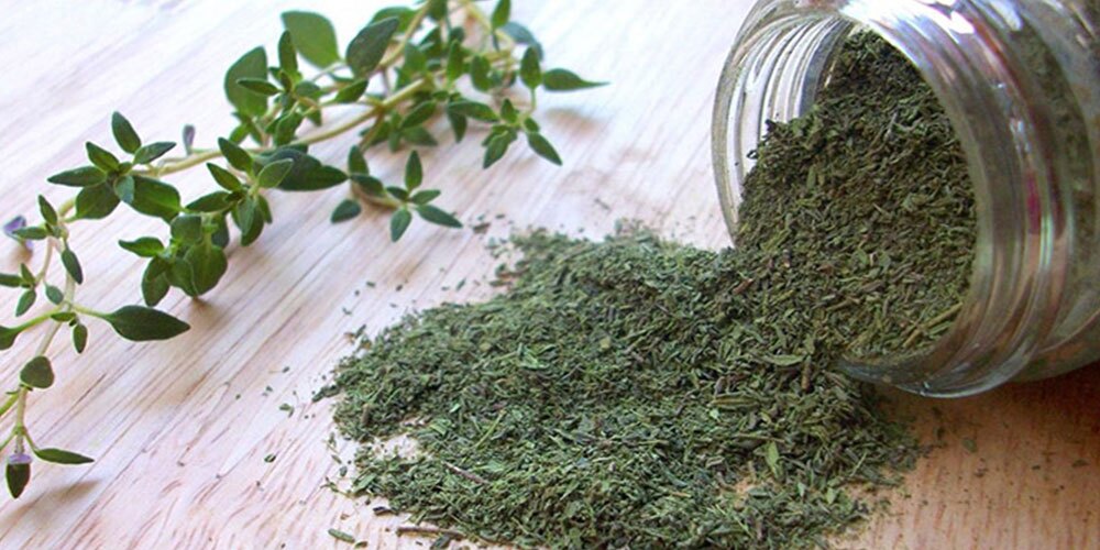 آویشن، گیاهی دارویی با خواص شگفت انگیز