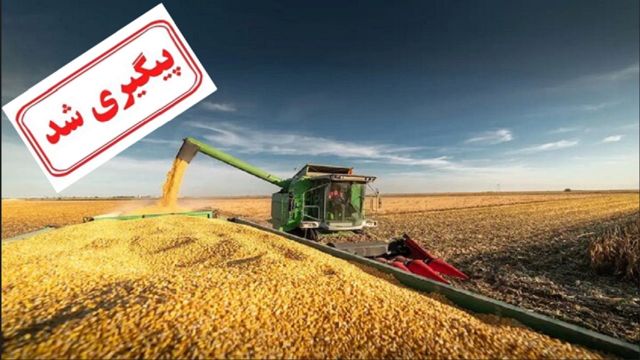 حل مشکل دیرکرد مطالبات گندمکاران در دستور کار