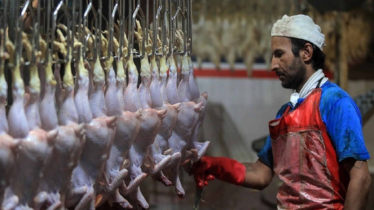 کنترل قیمت گوشت مرغ در بازار خراسان رضوی
