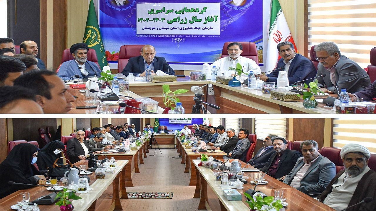 کشت پاییزه در سطح ۱۲۰ هزار هکتار از اراضی کشاورزی سیستان وبلوچستان