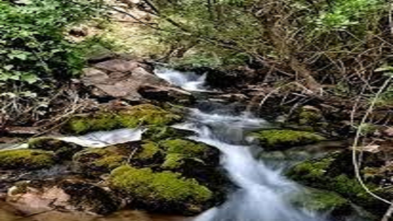 سراب پرسک جریانی از زیبایی در شهرستان سلسله+فیلم