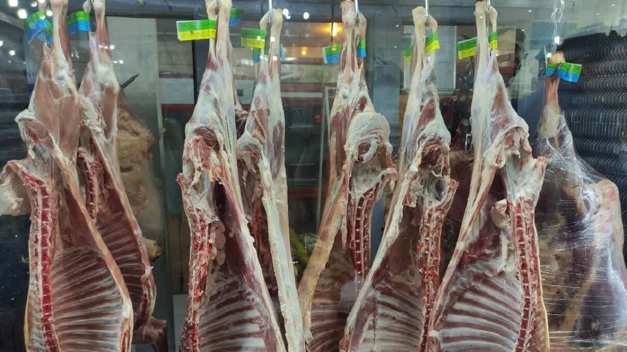تولید ۱۹۰۰ تن گوشت قرمز به همت عشایر