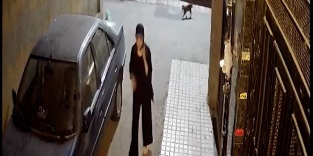 نیکا شاکرمی نیکا شاکرمی