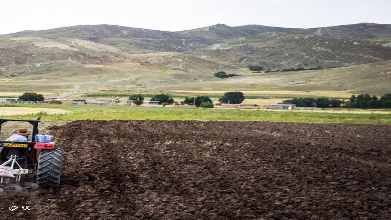 کشاورزی قراردادی در میاندوآب به ۱۰ هزار هکتار افزایش یافت