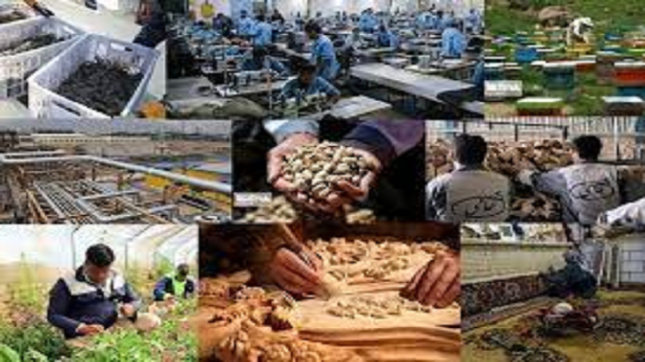 ایجاداشتغال برای ۲۵۰ نفر از طریق بنیاد برکت هشترود