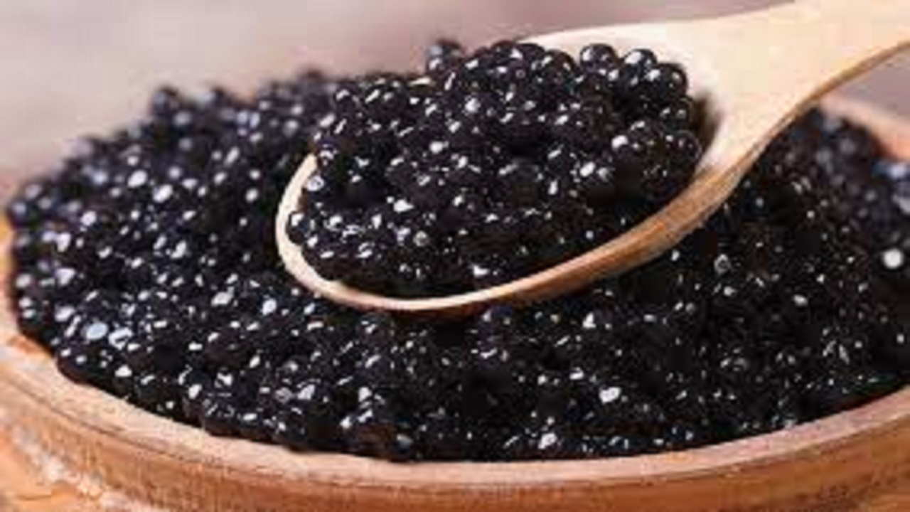 استخراج خاویار از شکم  فیل ماهی  ۹۰ کیلویی در لرستان+ فیلم