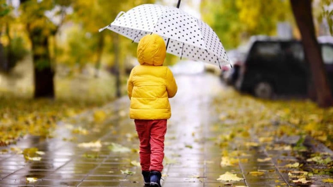 چرا برخی عاشق فصل پاییز هستند؟