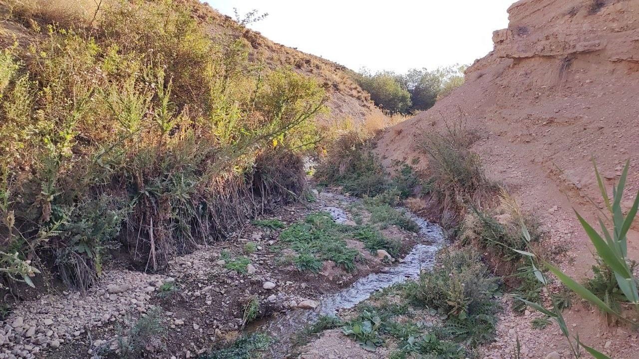 گوشه‌هایی از طبیعت زیبای روستای توآباد قزوین + فیلم