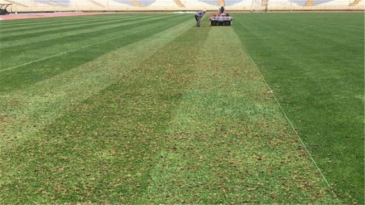 ورود دادستانی تهران به ماجرای آلوده بودن چمن ورزشگاه آزادی/ نمونه‌برداری انجام شد