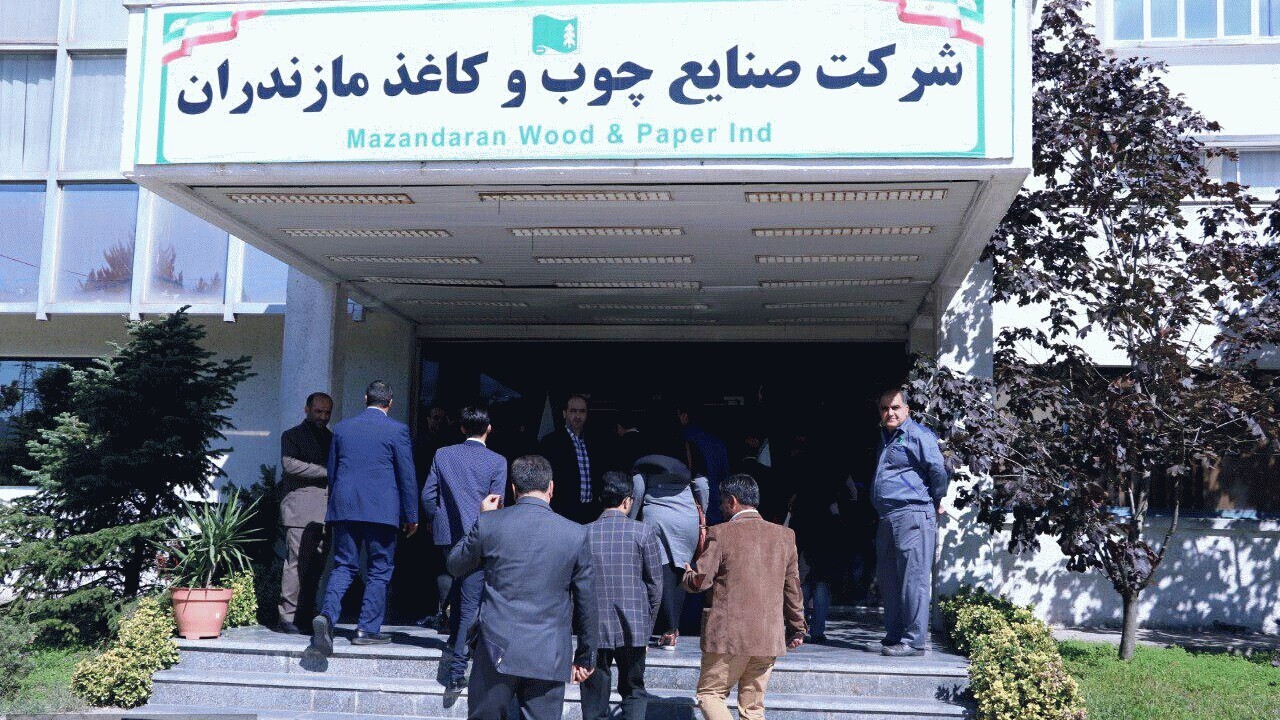چوب و کاغذ مازندران بورسی می‌شود