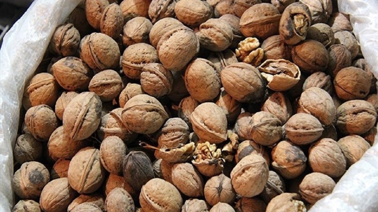 جریمه یک میلیارد ریالی قاچاقچی گردو