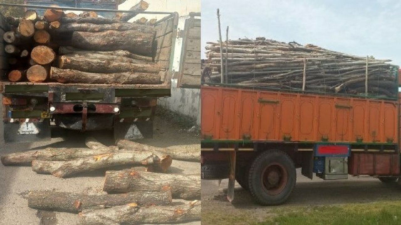 کشف ۷۲ تن چوب جنگلی قاچاق در سیاهکل